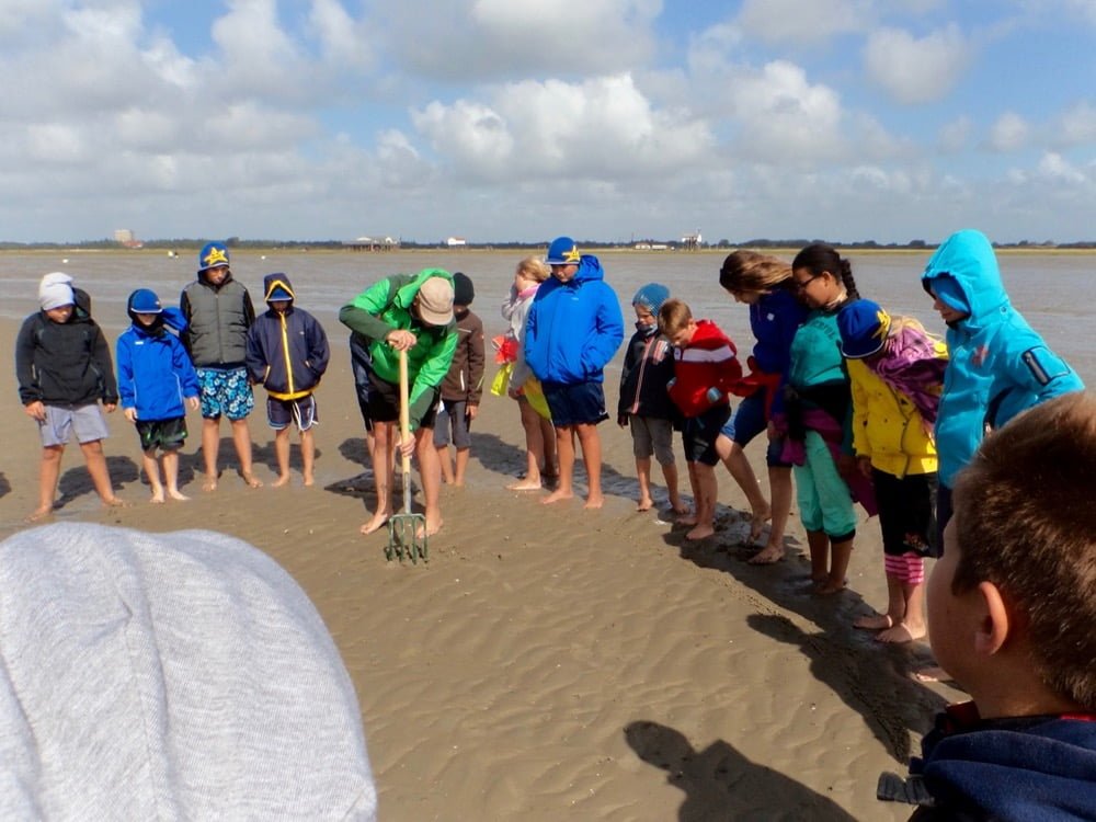 a group of people on a beach