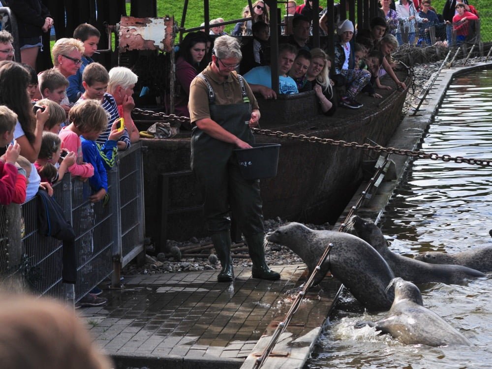 Tag 15 (So., 14.08.2016)