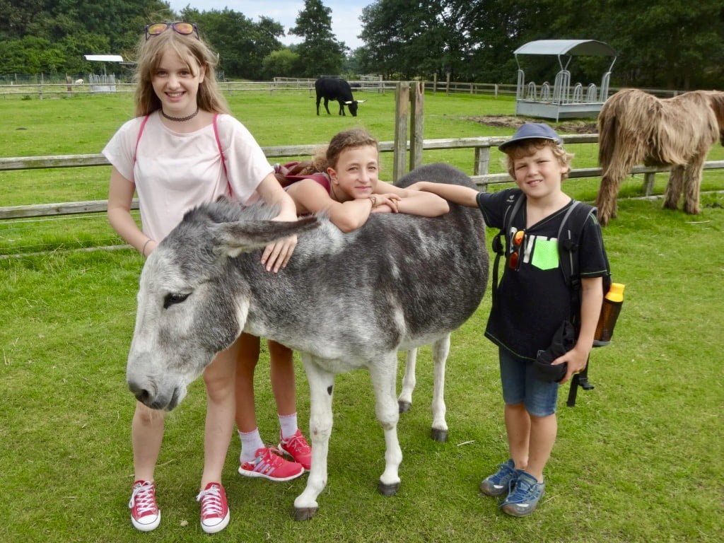 Tag 06 (Di, 15.08.2017)