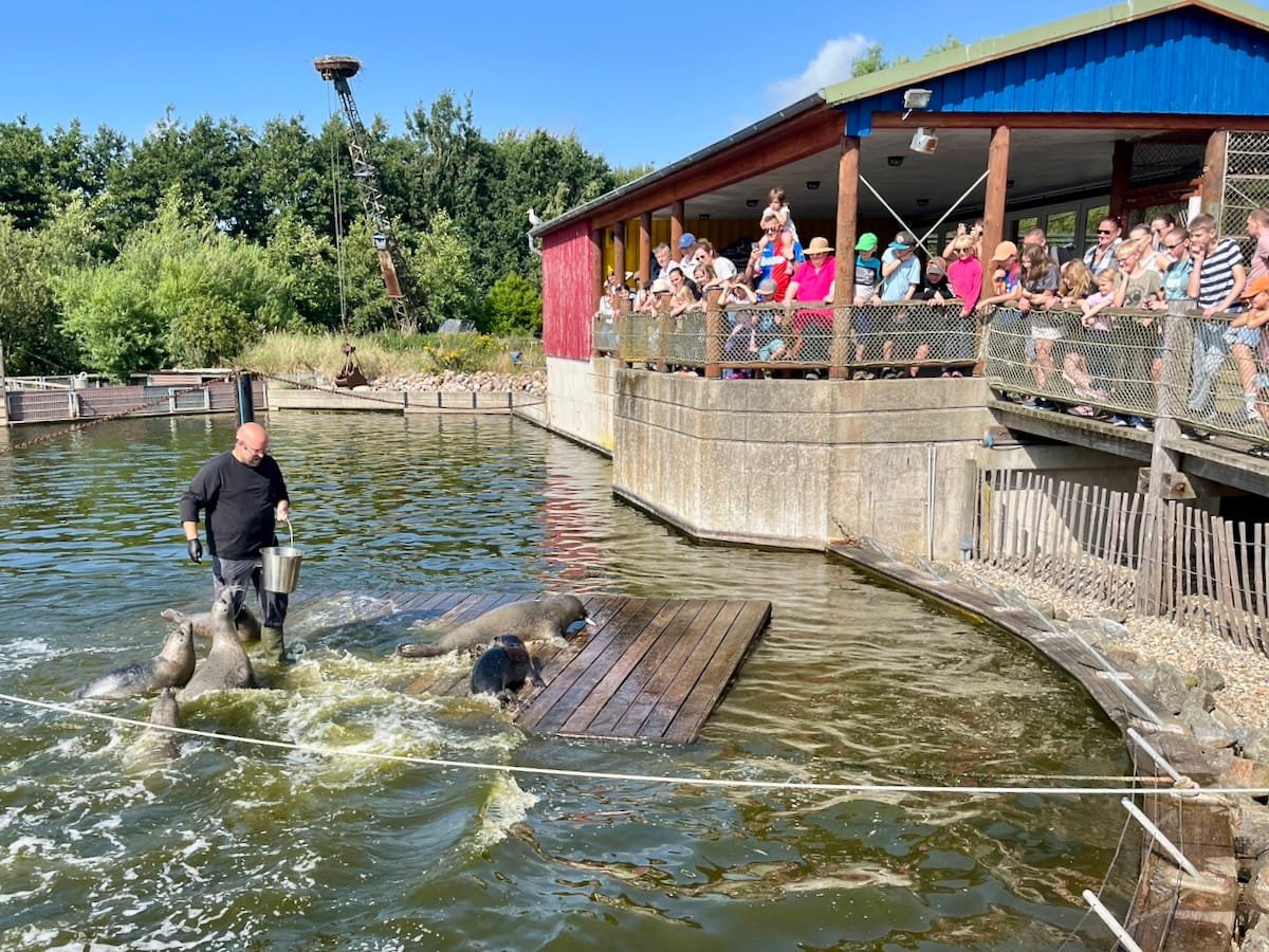 Tag 7 (Fr., 8.8.2025)