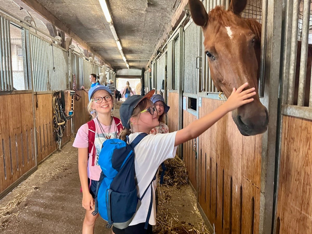 Tag 12 (Mi., 13.8.2025)