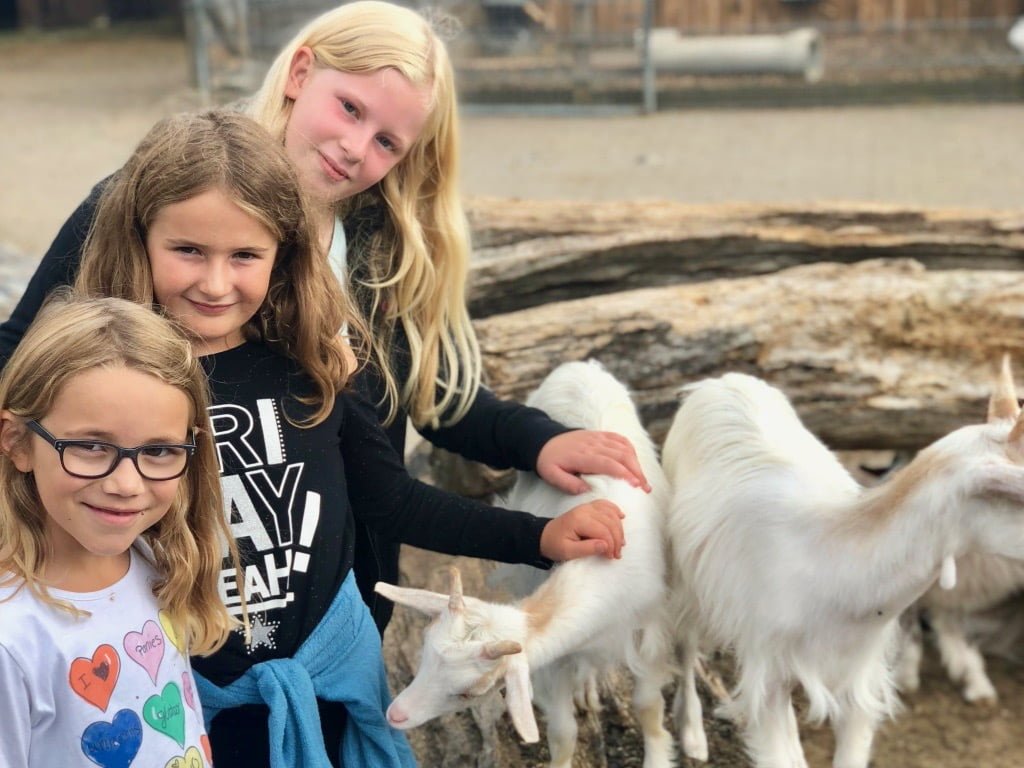 Tag 05 (Fr., 31.08.2018)